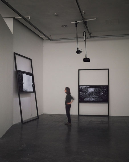 Garden, Exhibition by Niamh O'Malley at Project Arts Centre