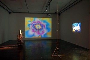 AION EXPERIMENTS EXHIBITION AT PROJECT ARTS CENTRE
