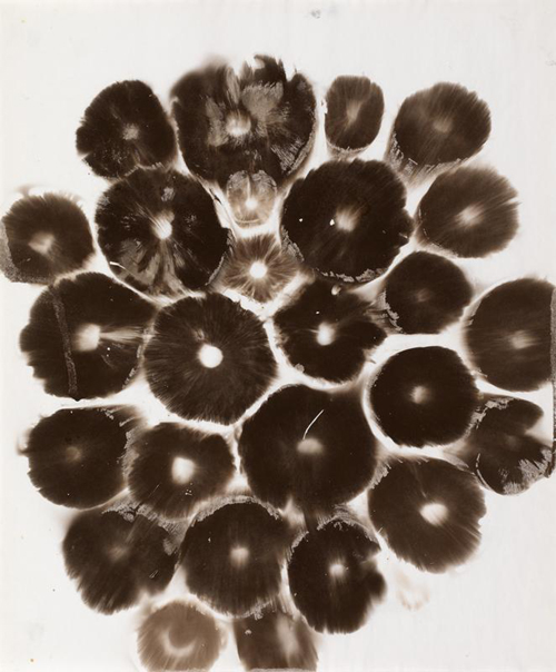 A Breathcrystal Exhibitions at Project Arts Centre