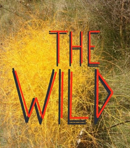 The Wild exhibition at Project Arts Centre, Dublin