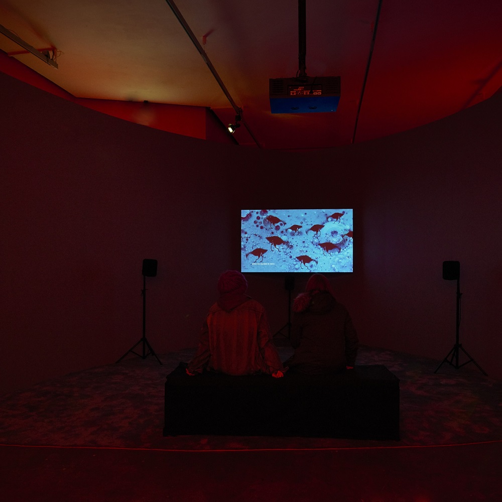 Caroline Doolin Fault Bound Bodies 1