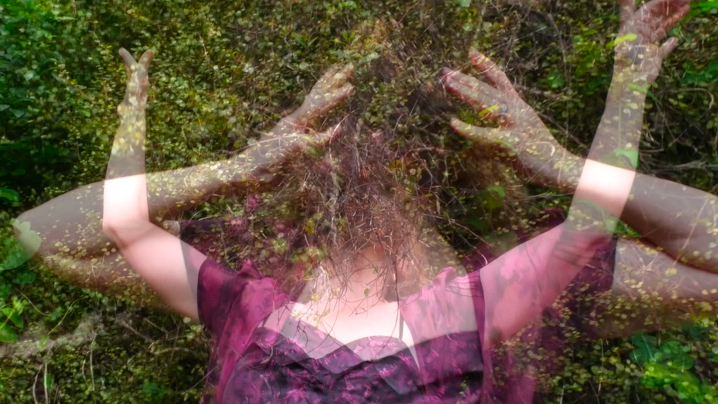 Two images superimposed of a figure’s torso wearing a wine coloured bodice lying in entangled branches.