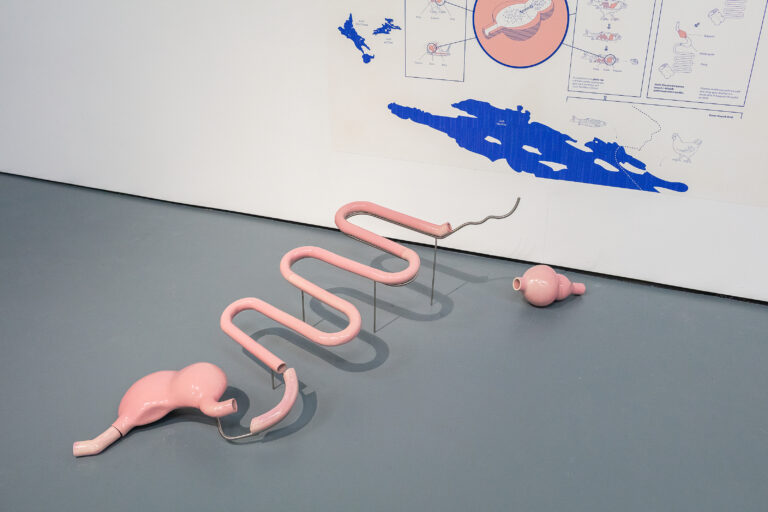 The image shows a contemporary art installation by Ciaran O’Dochartaigh, featuring a sculptural work arranged on a gray floor against a white wall. The sculpture consists of a series of smooth, pink, ceramic-like tubular forms of digestive system. These forms include curved, bulbous, and looping segments supported by thin metal rods that hold parts of the sculpture slightly elevated off the ground. On the wall behind the sculpture, there is a diagram-like poster combining blue and pink illustrations that feature labelled sections, schematic organs, and line drawings of animals such as a fish and a chicken, suggesting a conceptual link between human and non-human bodies, systems, or ecosystems.