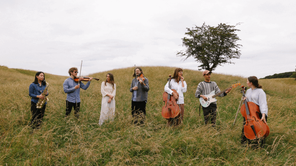 Seven musicians stand outdoors in a grassy field under an overcast sky. They are arranged in a loose line facing one another, holding their instruments: a saxophone, two violins, a double bass, an electric bass guitar, and a cello. One person stands without an instrument. A single tree rises behind them on a small hill, surrounded by tall grass. The scene feels calm and natural, suggesting a relaxed outdoor rehearsal or photo shoot.