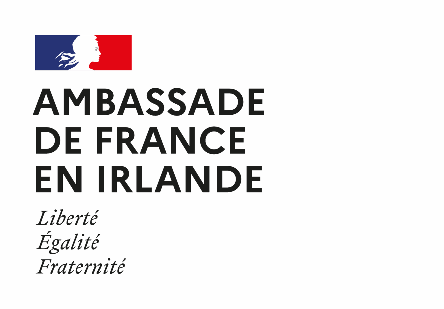 Logo_AMB_transparent_1