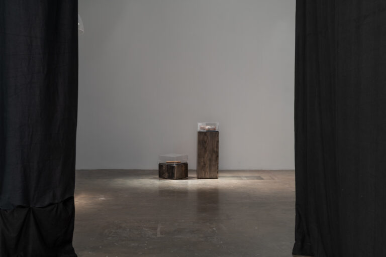 Disentailing_Deed_Ruth_Niamh_PAC_Screen_5